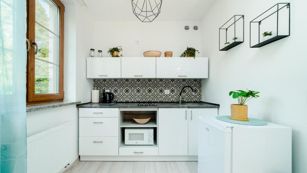 Kuchyňa alebo kuchynka v ubytovaní Apartament Karkonosze