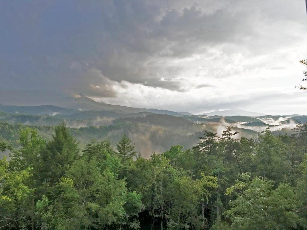 a view of a valley with fog in the trees at Leconte Mountain Lodge in Sevierville
