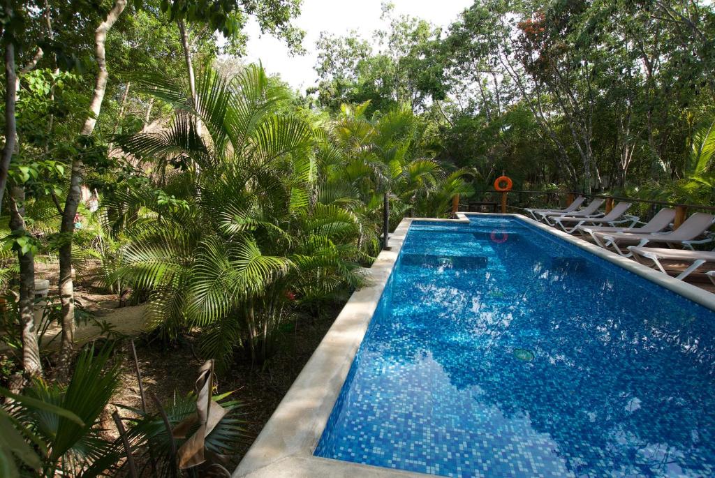 a swimming pool with lounge chairs and trees at Joy Tulum - Adults Only. in Tulum