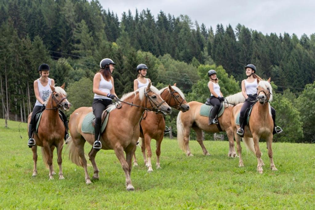 Zvířata v penzionu – hostince nebo okolí