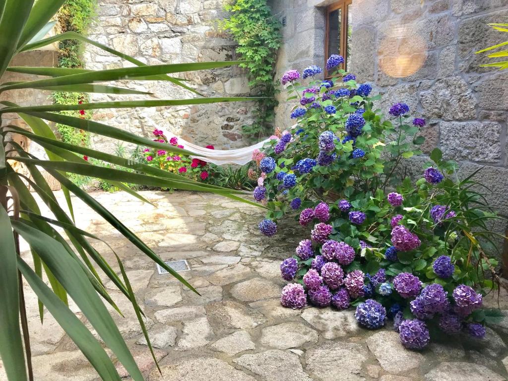 Une bande de fleurs violettes sur un chemin en pierre dans l'établissement Janelas da Cabreira, à Campos