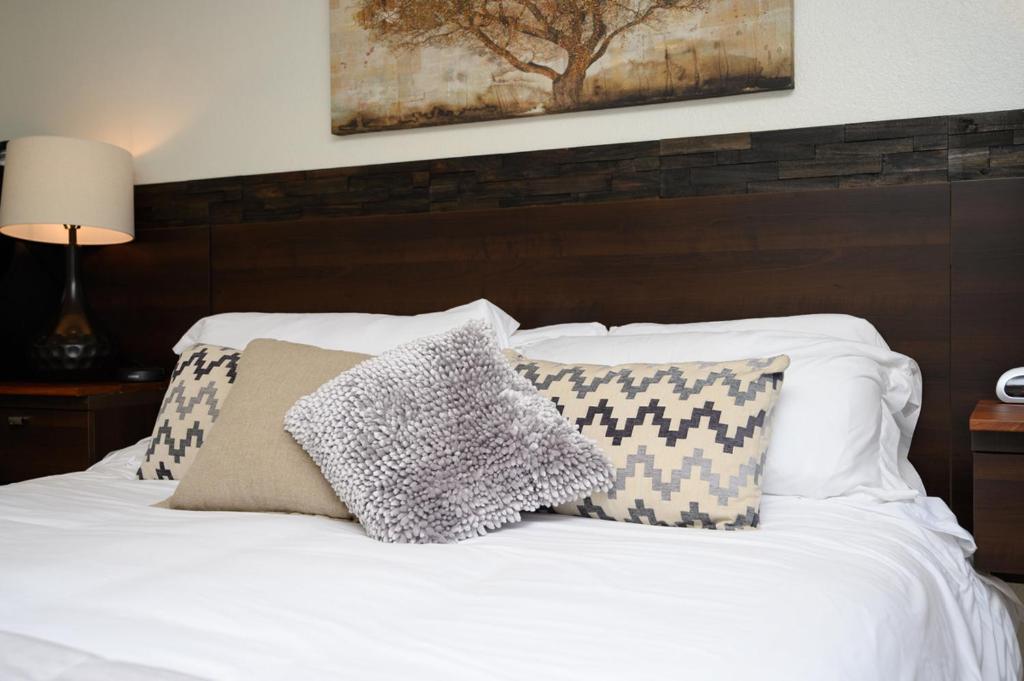 Shell Beach Inn photo