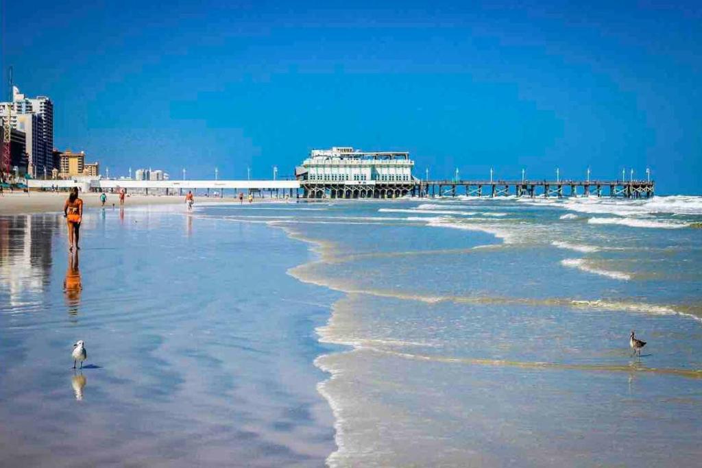 una persona caminando por la playa con un muelle en el fondo en Daytona Beach Inn Resort en Daytona Beach