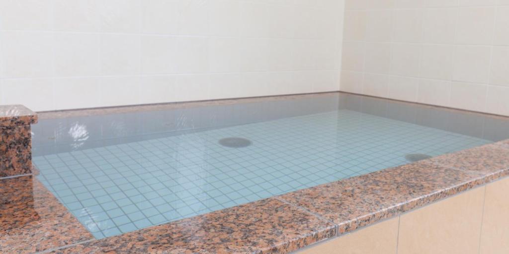 Fotografie z fotogalerie ubytování Hotel Wakamatsu Excel v destinaci Isesaki