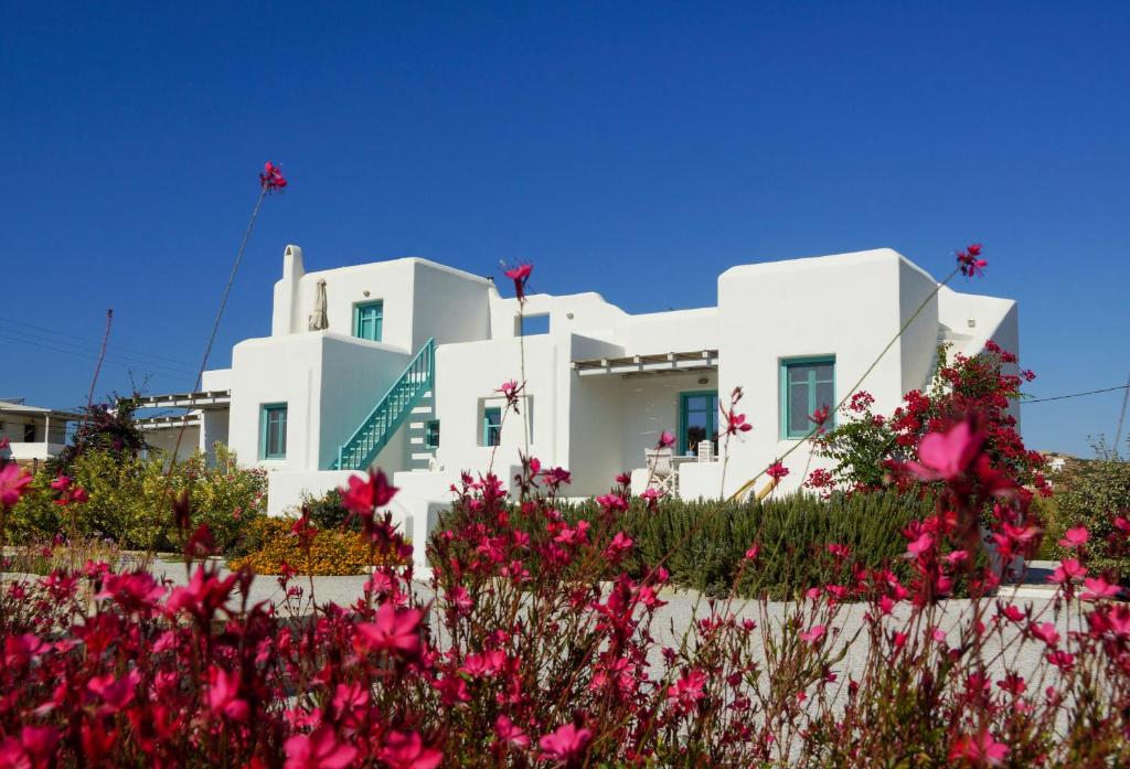 布拉卡的住宿－Ploes Seaside Houses，前面有粉红色花的白色房子