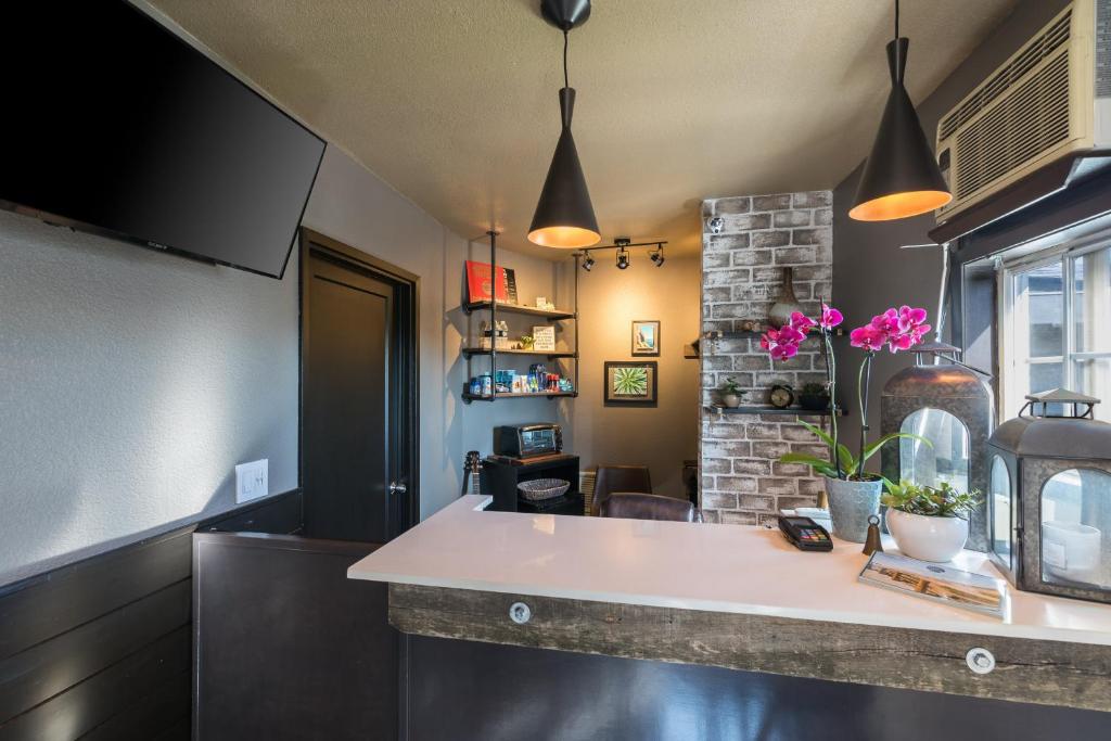 Shell Beach Inn photo