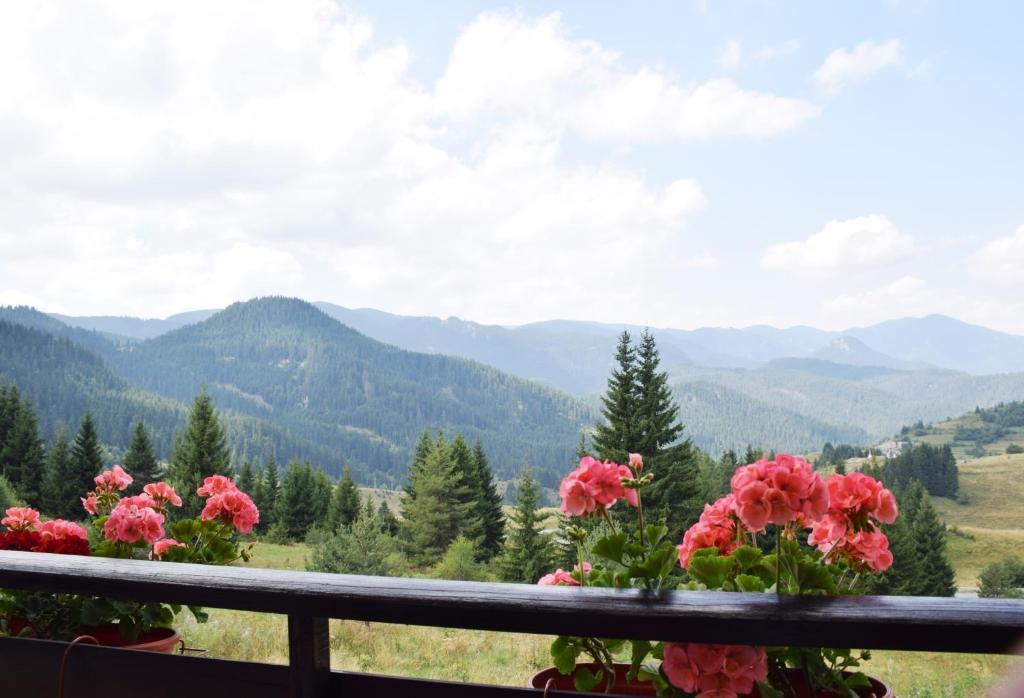 a view of mountains from a balcony with flowers at Panorama Stoykite Yana apartment in Pamporovo
