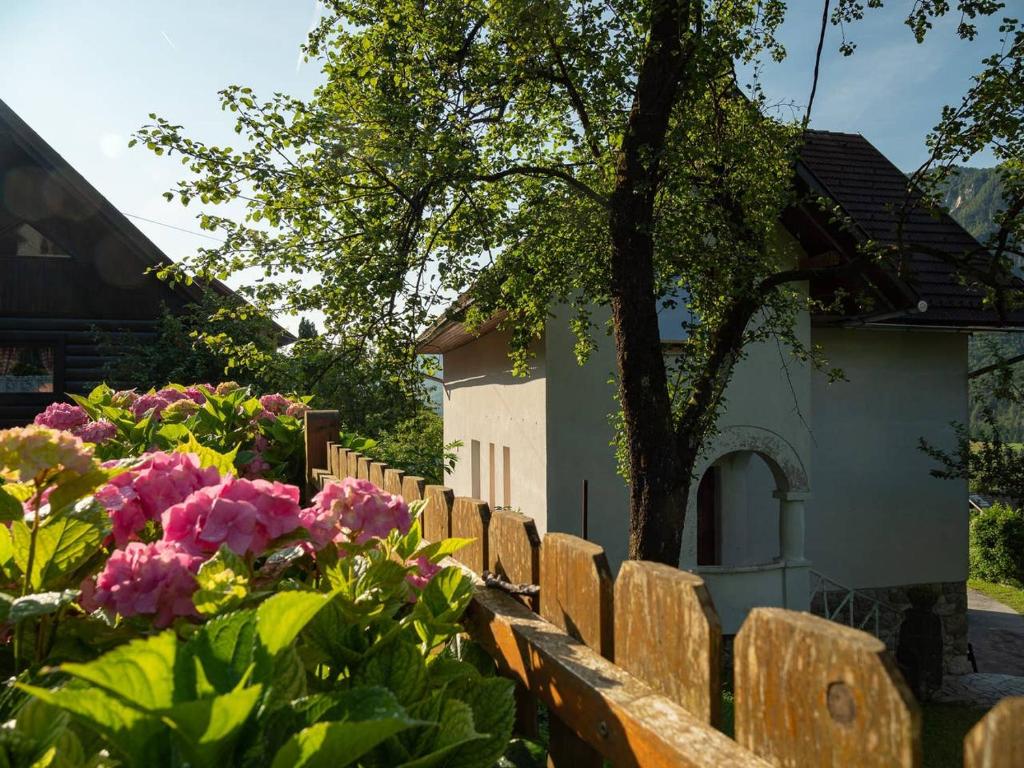 Zahrada ubytování Alpeambient house Dovje