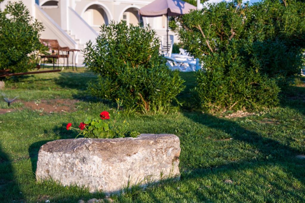 Zahrada ubytování Klelia Beach Hotel by Zante Plaza