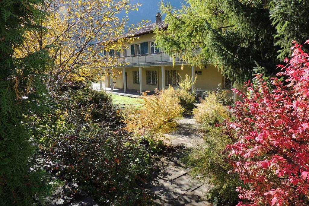 Zahrada ubytování B&B Haus Schönstatt contactless- Check-In