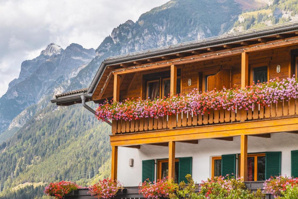 Nespecifikovaný výhled na hory nebo výhled na hory při pohledu z hotelu
