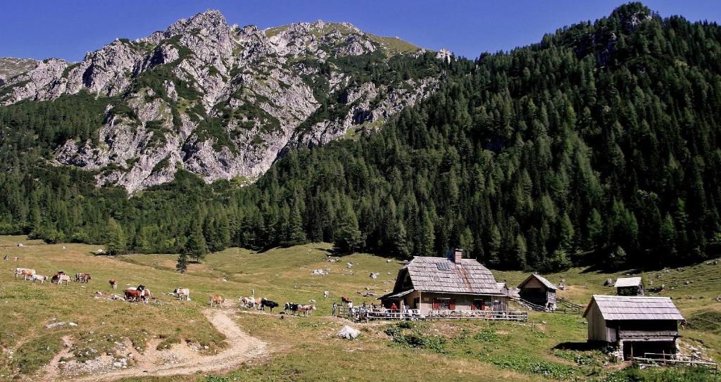 Příroda nedaleko apartmánu