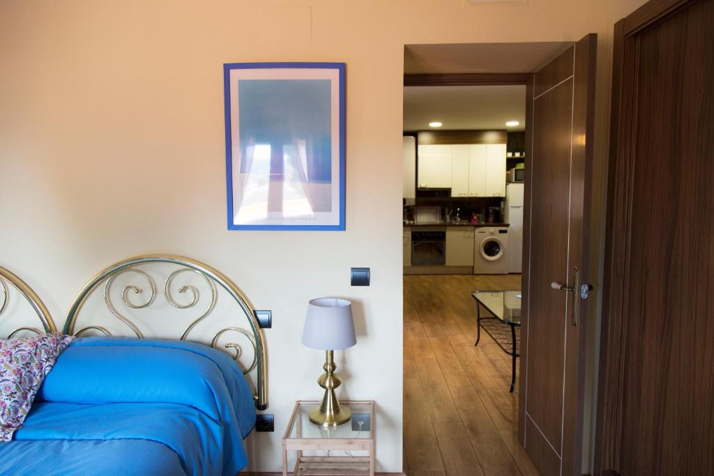 Кухня или мини-кухня в Apartamentos "Casa Rural de Aldea"
