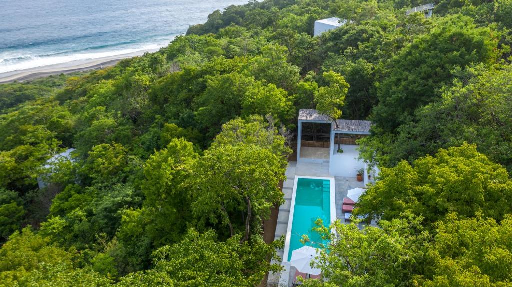 an aerial view of a house with a swimming pool and a beach at Cocolia Hotel in Mazunte