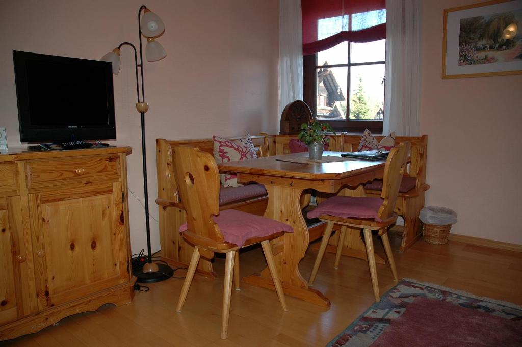 TV a/nebo společenská místnost v ubytování Hotel Sarbacher