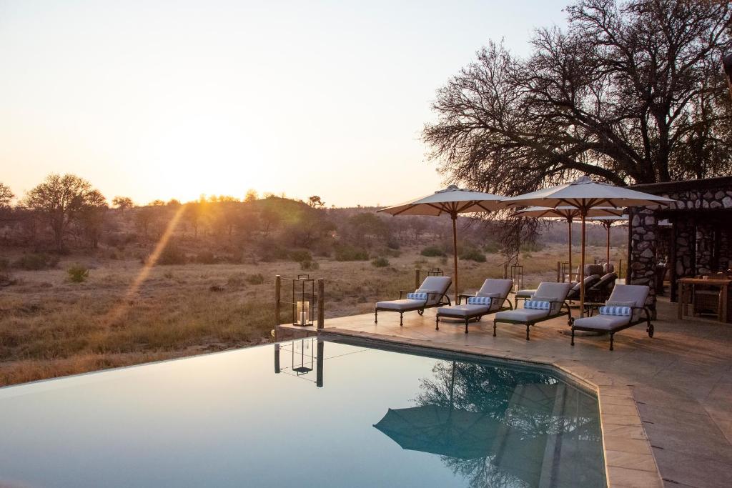 una piscina con sillas y sombrillas en un patio en Last Word Kitara en Klaserie Private Nature Reserve