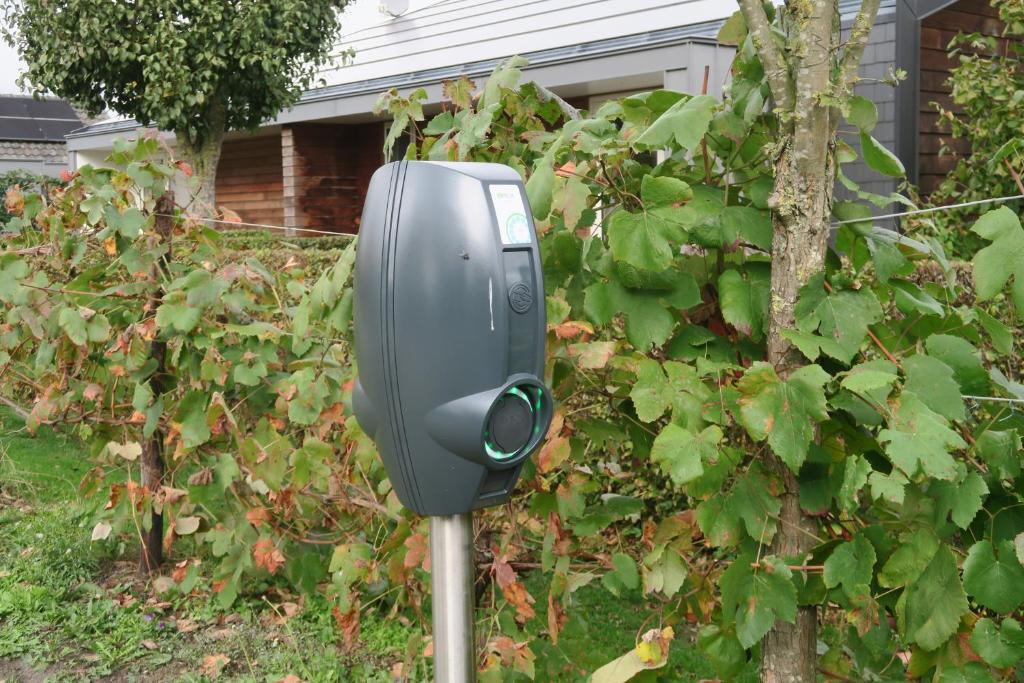 Zahrada ubytování Aldörrum Hoevelogementen