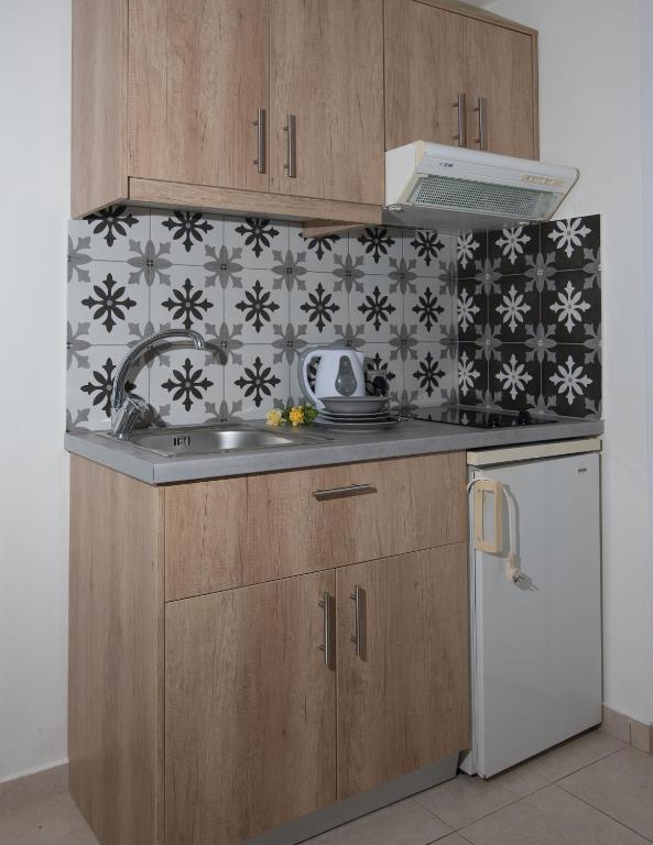 Kuchyň nebo kuchyňský kout v ubytování Vagelis Apartments Malia