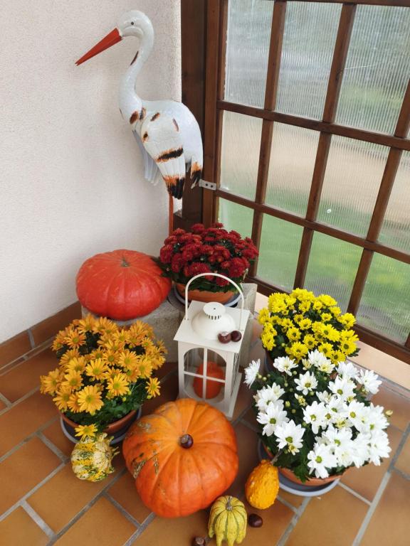 Fleur de Vigne – photo 27