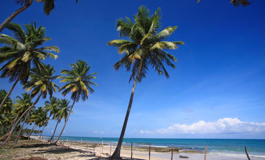  Flat Super Luxo Carneiros Beach Resort