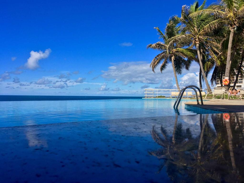 Blick auf einen Strand mit Palmen und Wasser in der Unterkunft Mercure Salvador Rio Vermelho in Salvador