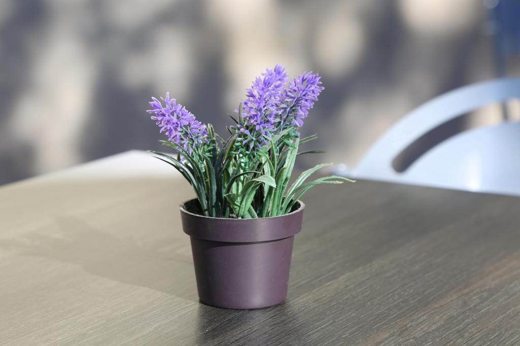 Résidence Les Académies Aixoise - Resim 31