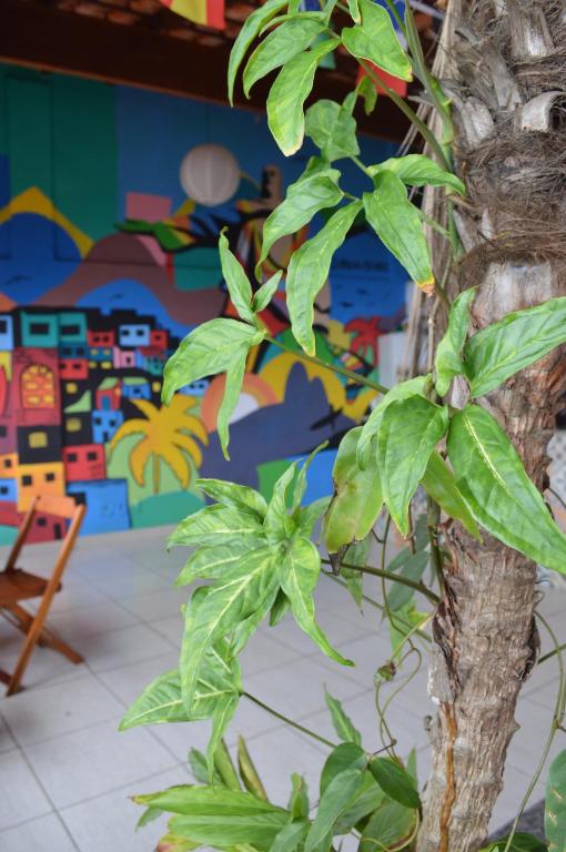  Vidigal Varandas Hostel