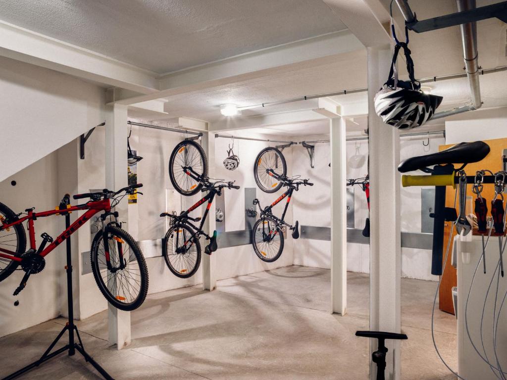 Jazda na bicykli v okolí ubytovania Route Active Hotel