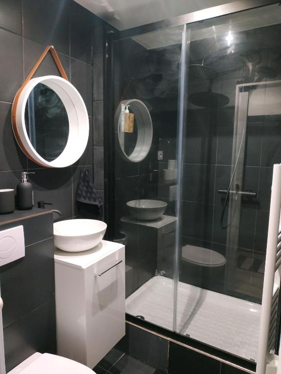 a bathroom with a shower and a toilet and a sink at Champagne Studio in Épernay