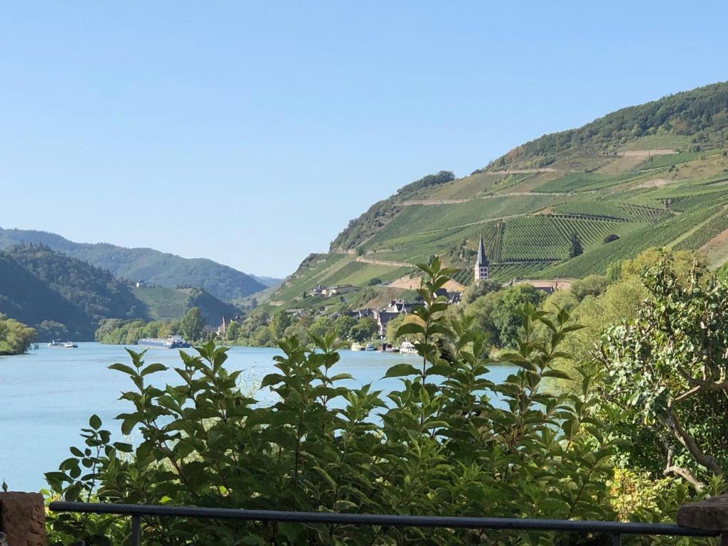 Hotel garni "Café im Hamm" - 14