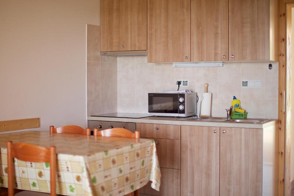Kuchyň nebo kuchyňský kout v ubytování Tourist Farm Apartments Lovrec
