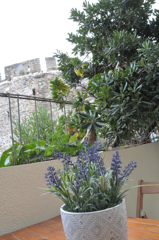 Vonkajšia záhrada v ubytovaní Frida's House in Old Town Thessaloniki