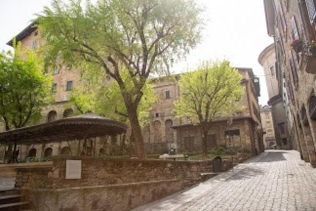 a cobblestone street in a city with trees and buildings at Serendipity Quando l'Amore è Magia in Bergamo