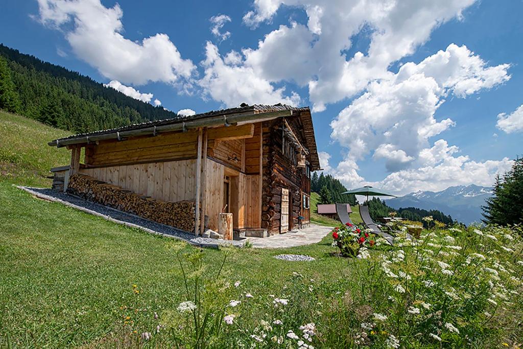 a log cabin on a hill with a green field at Chalet Berghaus Bartholomäberg in Bartholomäberg