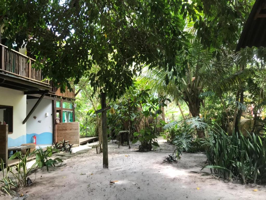 une cour d'une maison avec des arbres et des plantes dans l'établissement Barra Quintal Studio 3, à Barra Grande