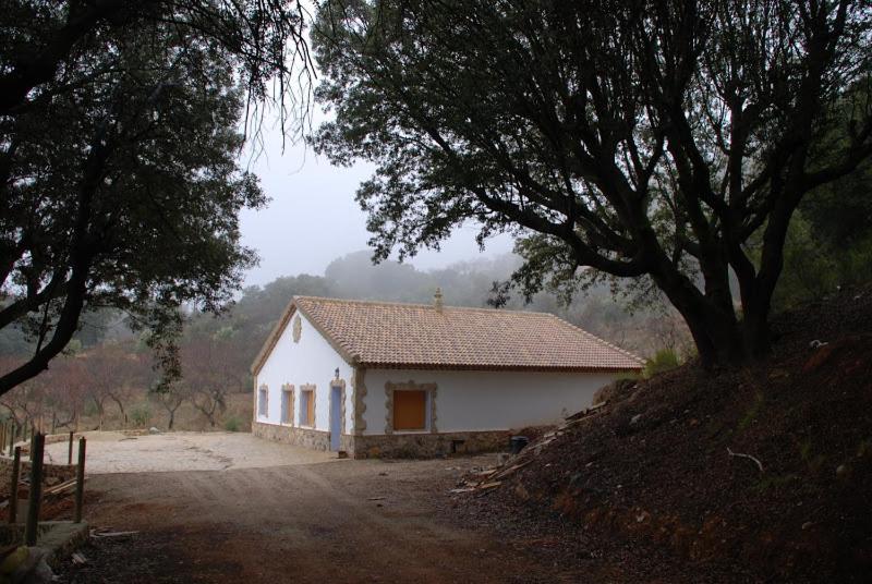 una pequeña casa blanca en medio de un campo en Casa Rural Las Encinas, en Marchena