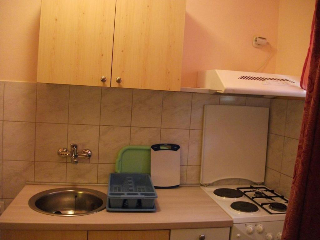 a small kitchen with a sink and a stove at Apartment Dusko - free parking in Gornji Karin