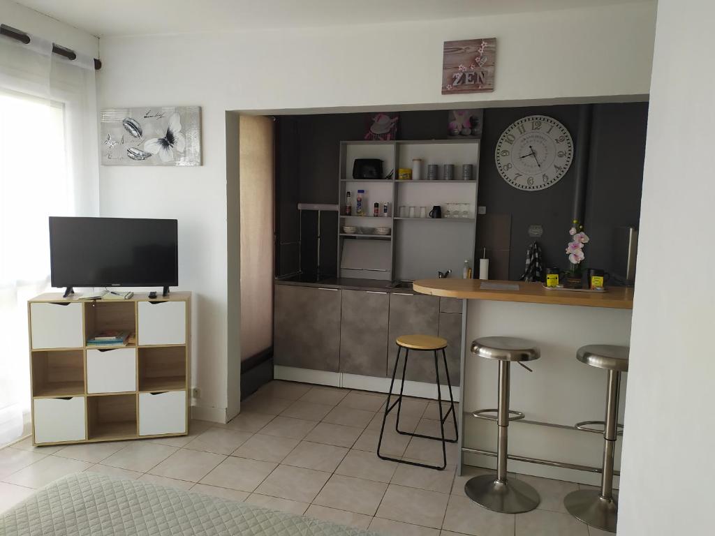TV a/nebo společenská místnost v ubytování Fleur d'orchidée studio 99