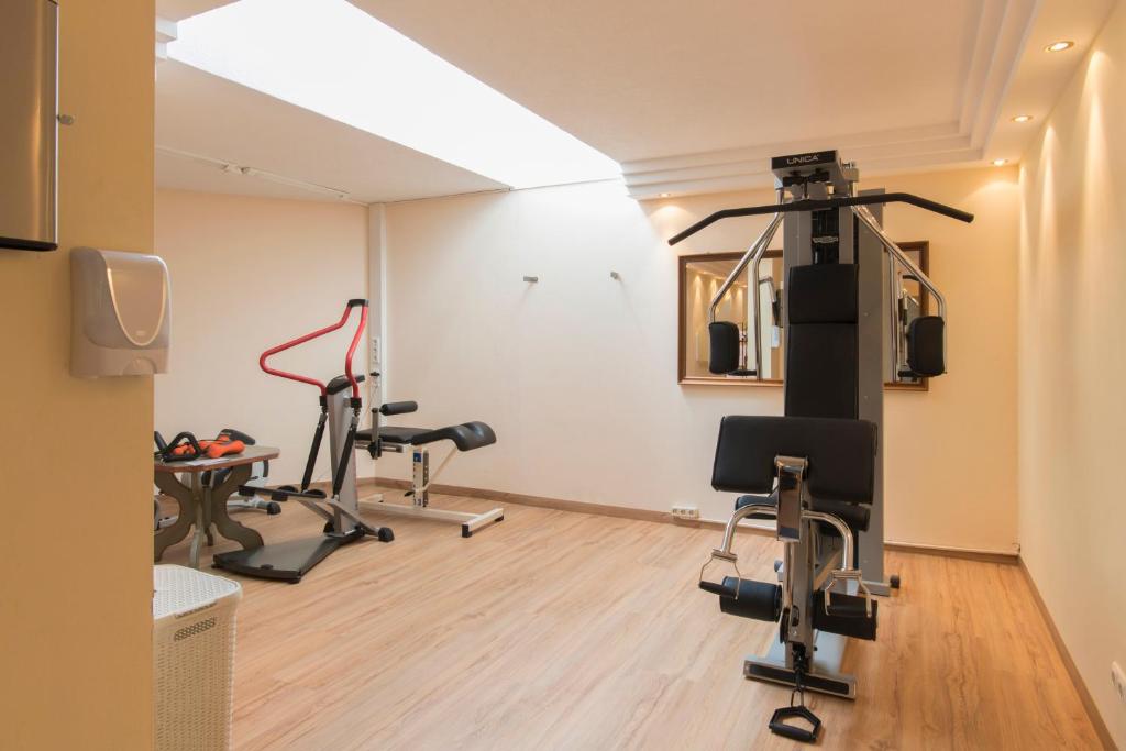 Fitness centrum a/nebo fitness zařízení v ubytování Hotel Anemone