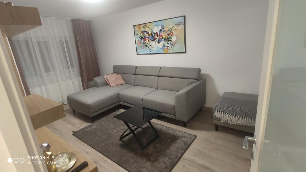 uma sala de estar com um sofá e uma mesa em Popasu din oras em Baia Mare