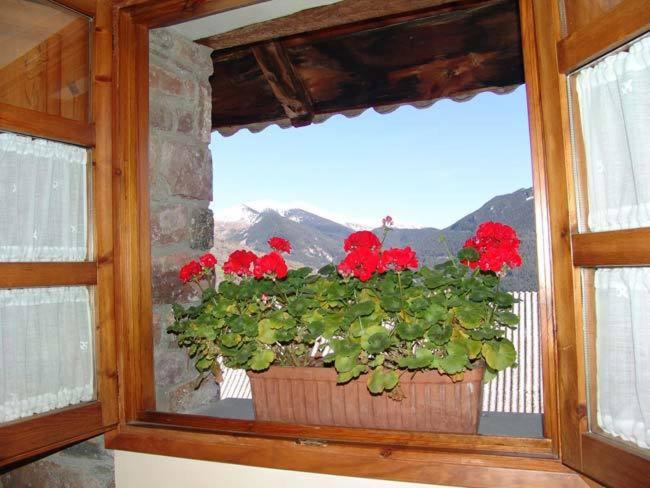 Nespecifikovaný výhled na hory nebo výhled na hory při pohledu z bed and breakfast