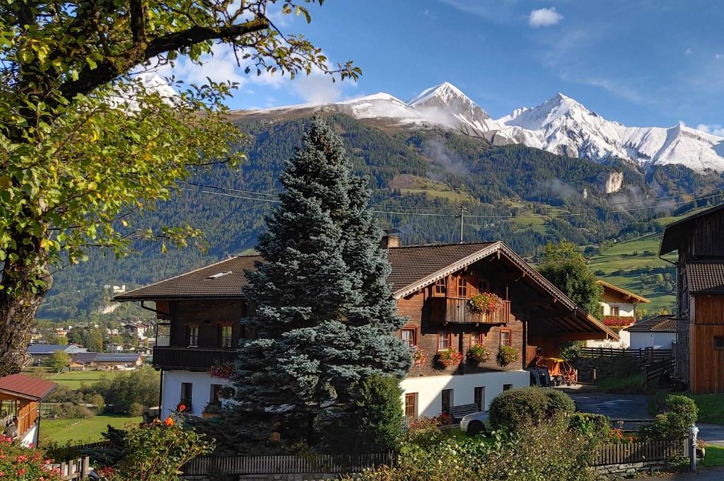 een dennenboom in een dorp met bergen op de achtergrond bij Simiterhof in Matrei in Osttirol