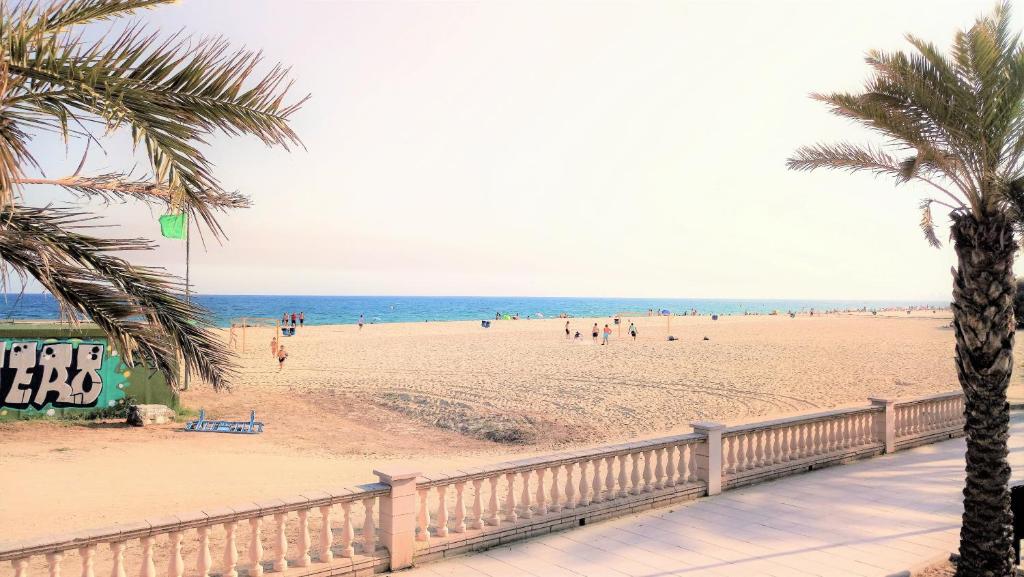 A beach at or near the holiday home