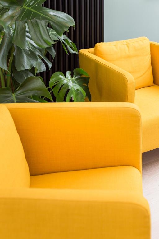 City of the Kings-Bijou Apartment - 5