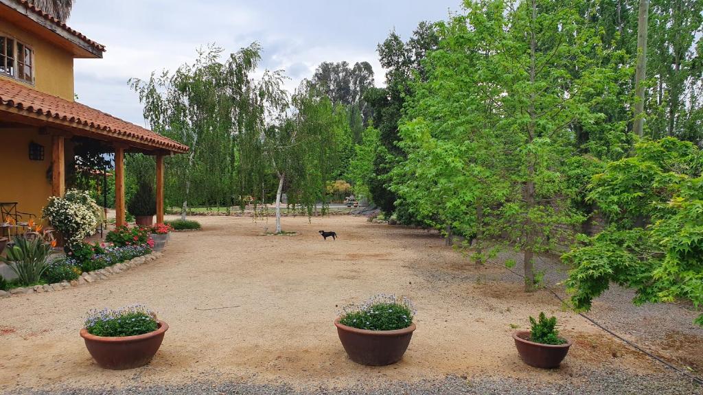 Um jardim no exterior de Hotel Posada Colchagua