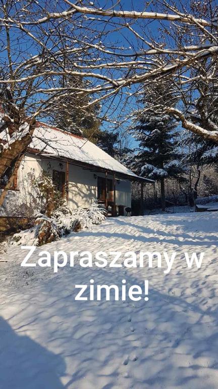 Ranczo Dziki Sad v zime