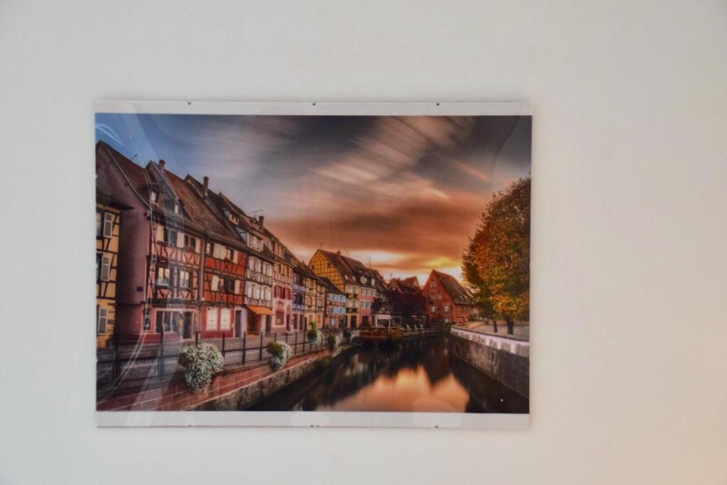 Appartement Colmar centre historique avec garage – photo 14