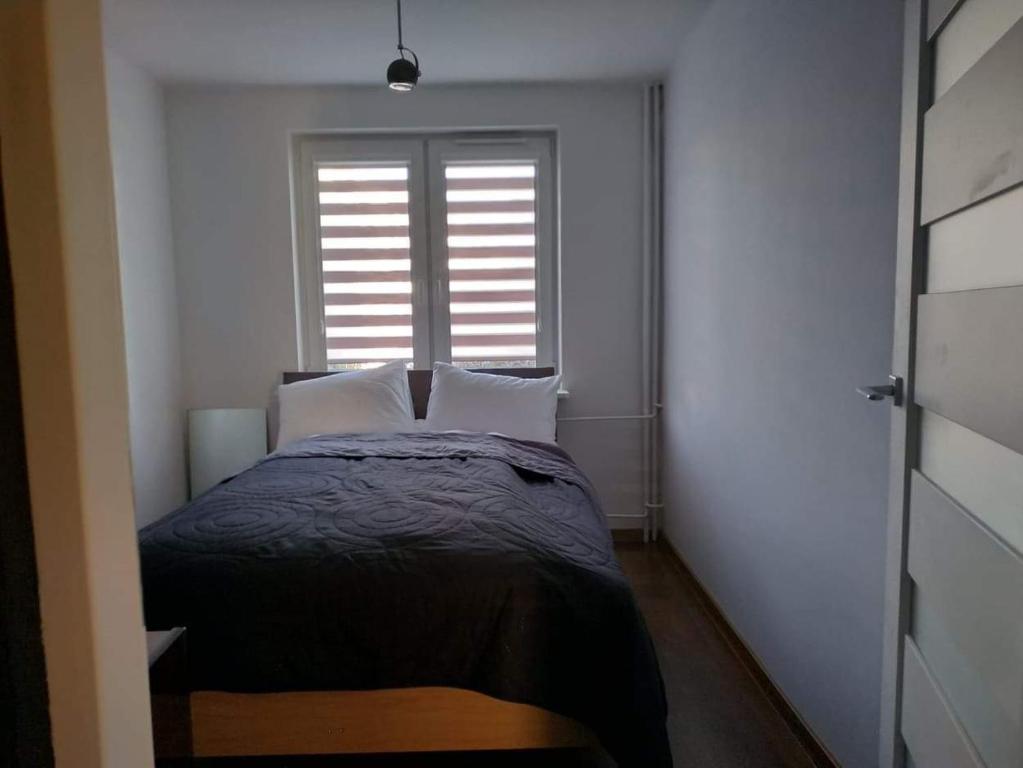 Mieszkanie Nad Sanem في سانوك: غرفة نوم بسرير ومخدتين ونافذة