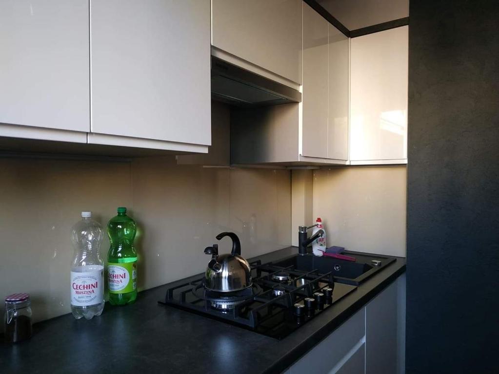 Mieszkanie Nad Sanem - Twee Slaapkamers Appartement