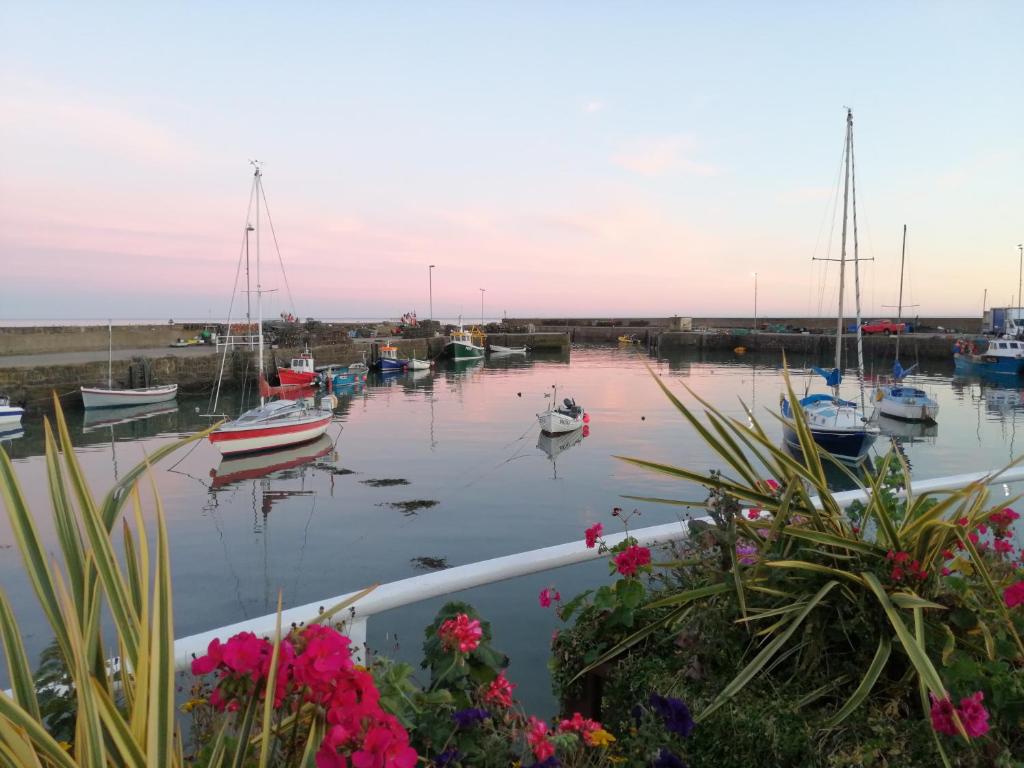 un grupo de barcos atracados en un puerto con flores en Sma Harbour Hoose, en Gourdon